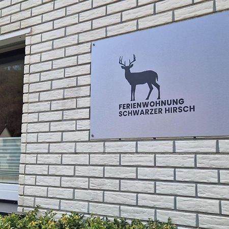 Ferienwohnung Schwarzer Hirsch Wieda Exterior foto